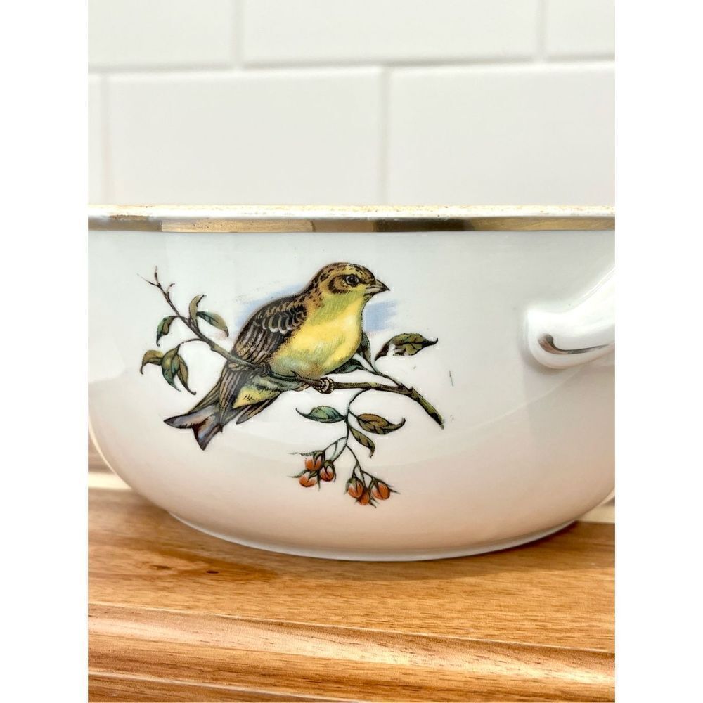 Rare Vintage Pillivuyt France Covered Tureen | Exotic Birds Porcelain - Picture 9 of 12